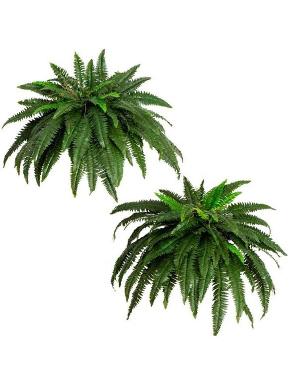 Set of 2 Large Hanging Fake Boston Ferns 48in Lush Greenery Home Decor